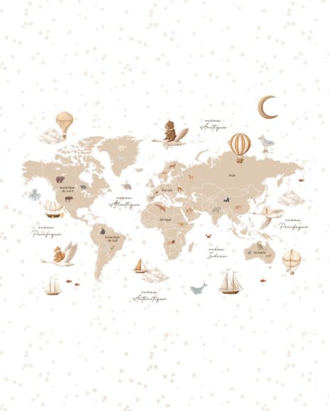 PPJC0376_Carte-du-monde-dans-les-étoiles_VERTICAL