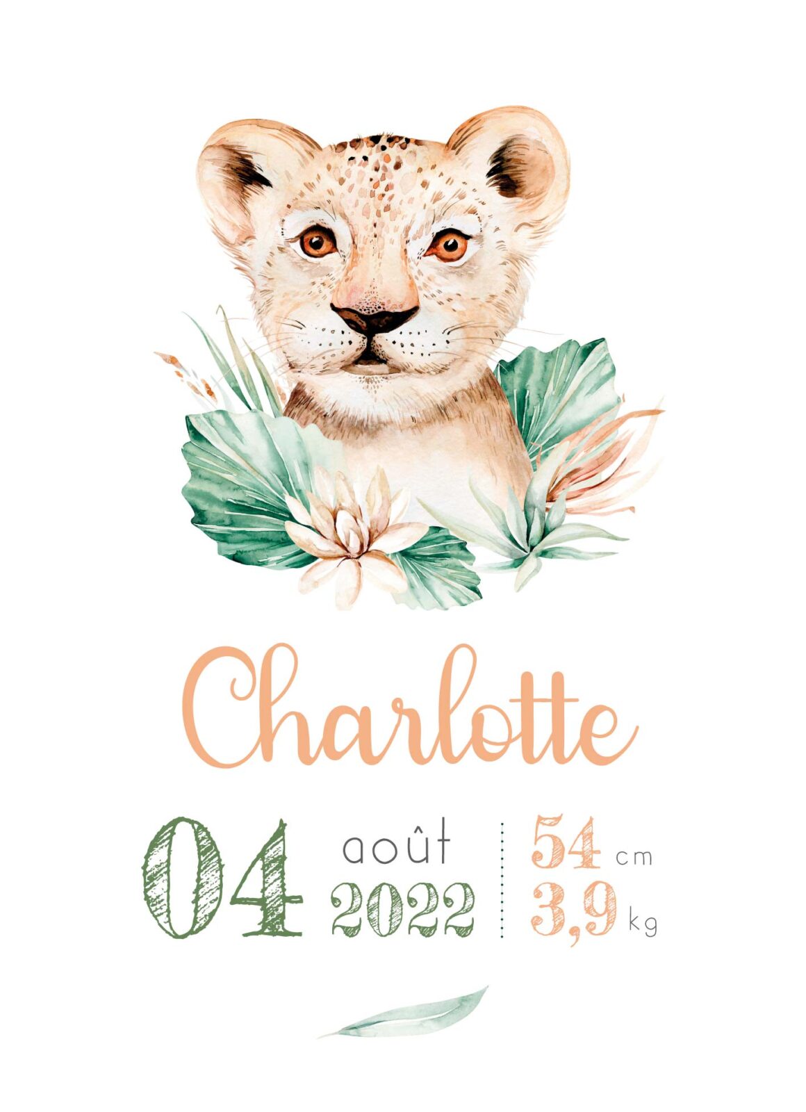 affiche-de-naissance-savane