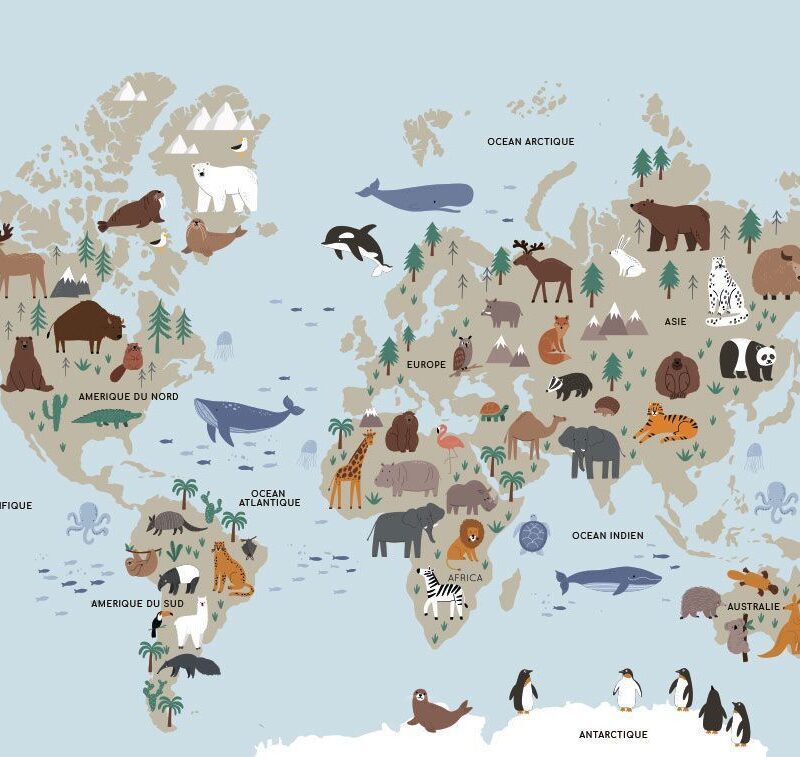 Colorful world map wallpaper for kids - Image 2