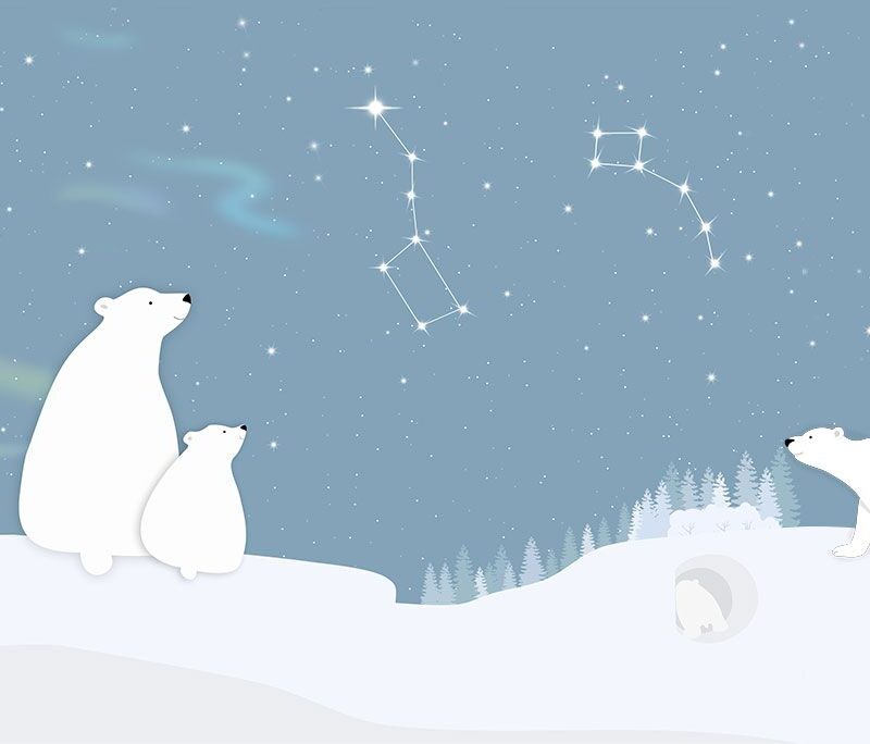 Polar Bear and Astronomy Wallpaper for Kids - Image 3