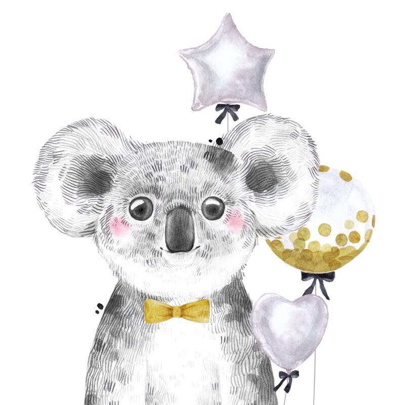 portrait-koala-garcon