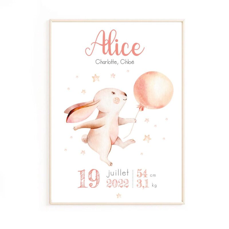 poster-de-naissance-lapin