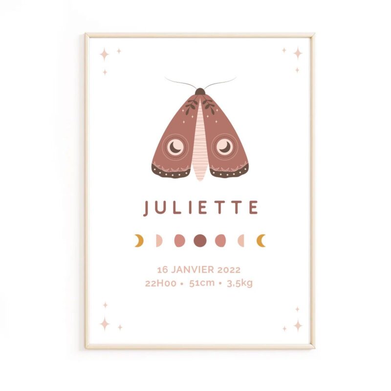 poster-de-naissance-papillon