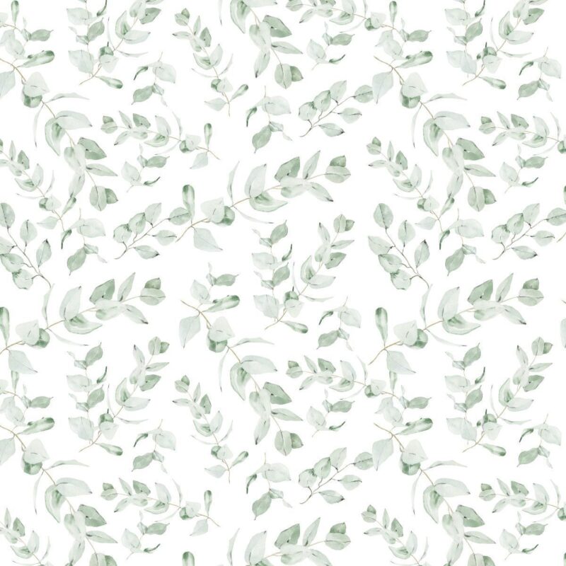 Eucalyptus leaf wallpaper - Image 2